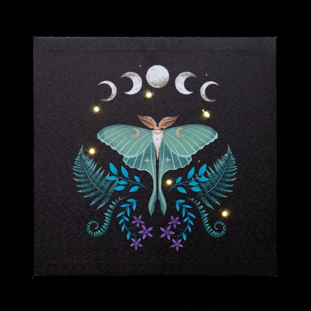 Eleanoras Luna Moth Light Up Canvas Plaque Canvases