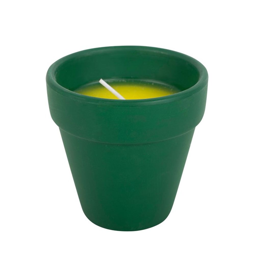 Eleanoras Thank You for Helping Me Grow Citronella Candle Candles