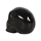 Eleanoras Black Obsidian Crystal Skull Crystals