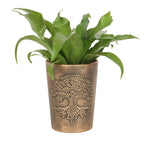 Eleanoras Tree Of Life Bronze Terracotta Plant Pot Plant Pots