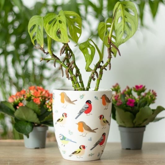 BRITISH GARDEN BIRDS PLANT POT