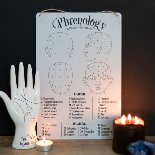 Eleanoras Phrenology Map Metal Sign 