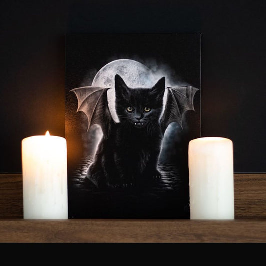 Eleanoras BAT CAT CANVAS PLAQUE BY SPIRAL DIRECT Canvases