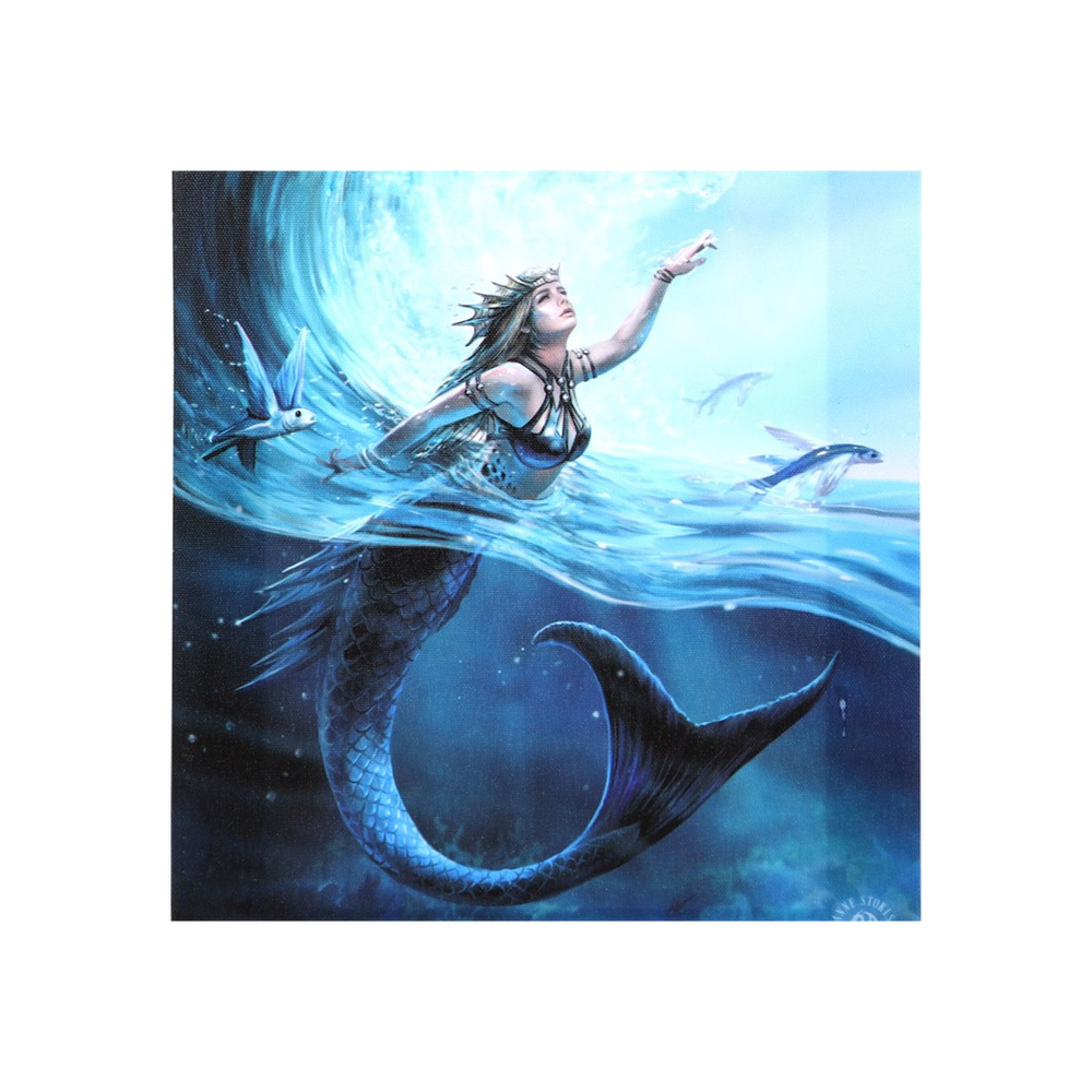 Eleanoras WATER ELEMENT SORCERESS CANVAS PLAQUE BY ANNE STOKES Canvases