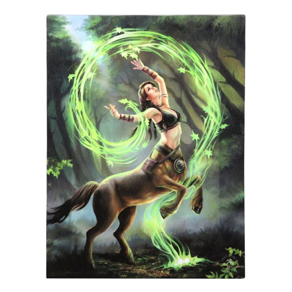 Eleanoras EARTH ELEMENT SORCERESS CANVAS PLAQUE BY ANNE STOKES Canvases