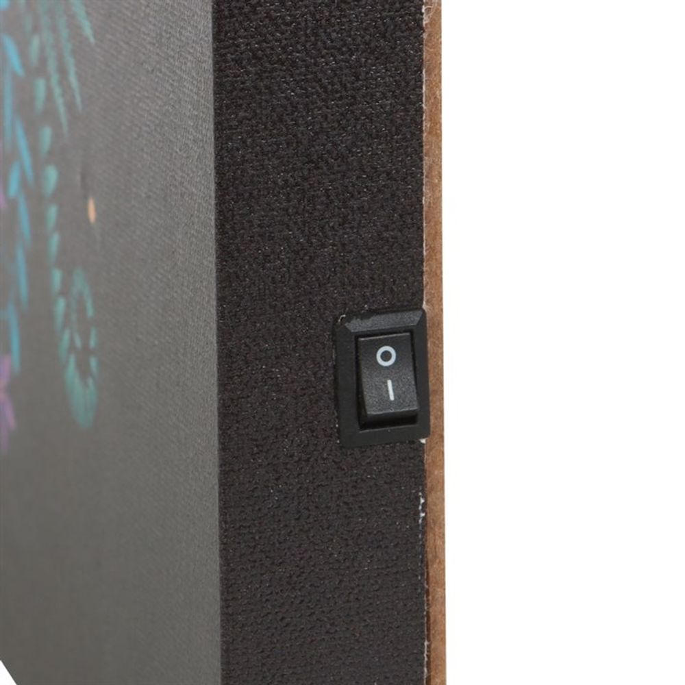 Eleanoras Luna Moth Light Up Canvas Plaque Canvases