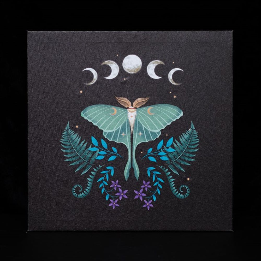 Eleanoras Luna Moth Light Up Canvas Plaque Canvases