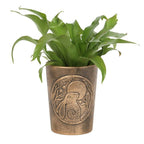 Eleanoras MOON GAZING HARE BRONZE TERRACOTTA PLANT POT Plant Pots