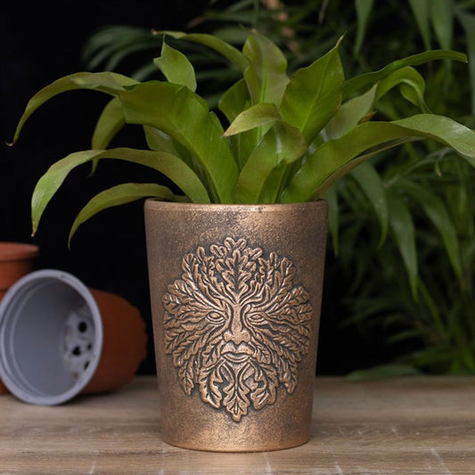 GREEN MAN TERRACOTTA PLANT POT Plant Pots from Eleanoras