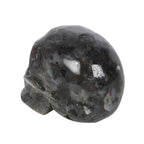 Eleanoras Black Labrodite Crystal Skull Crystals
