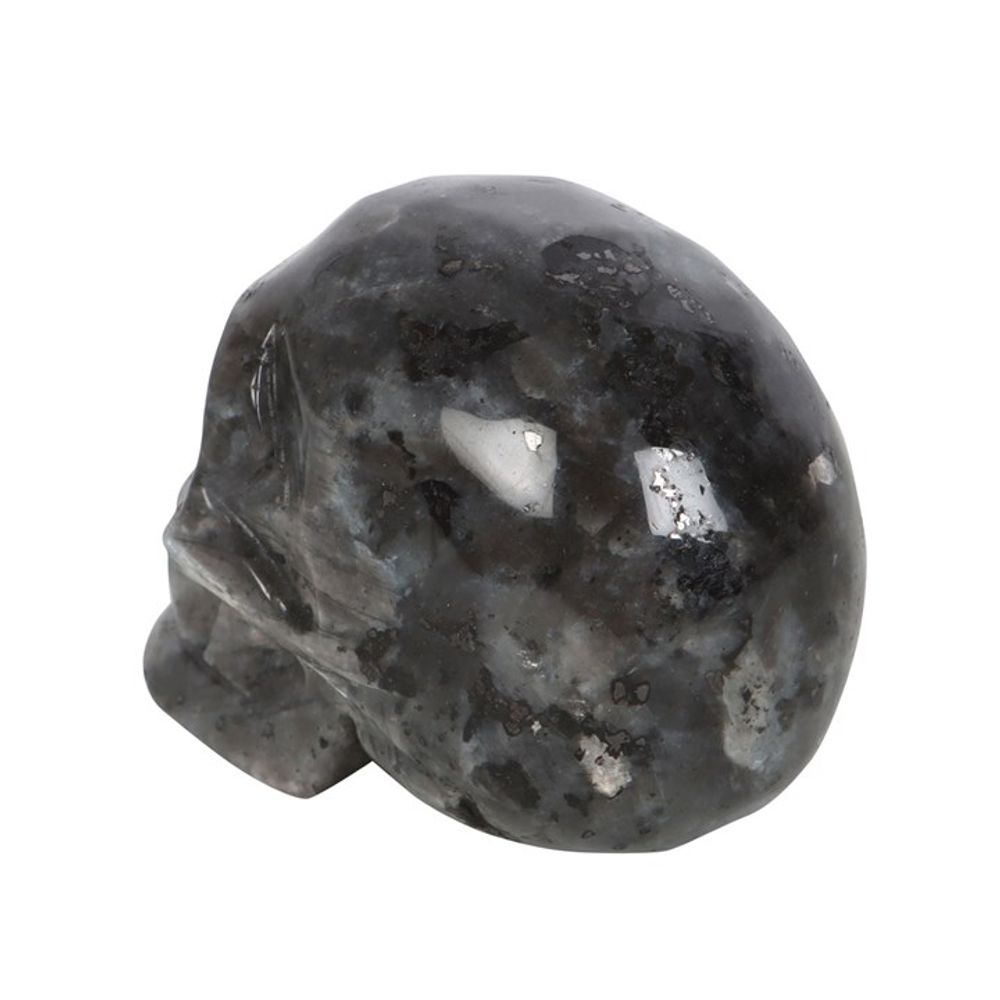 Eleanoras Black Labrodite Crystal Skull Crystals