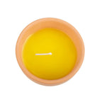 Eleanoras Gardener Of The Year Citronella Candle Candles