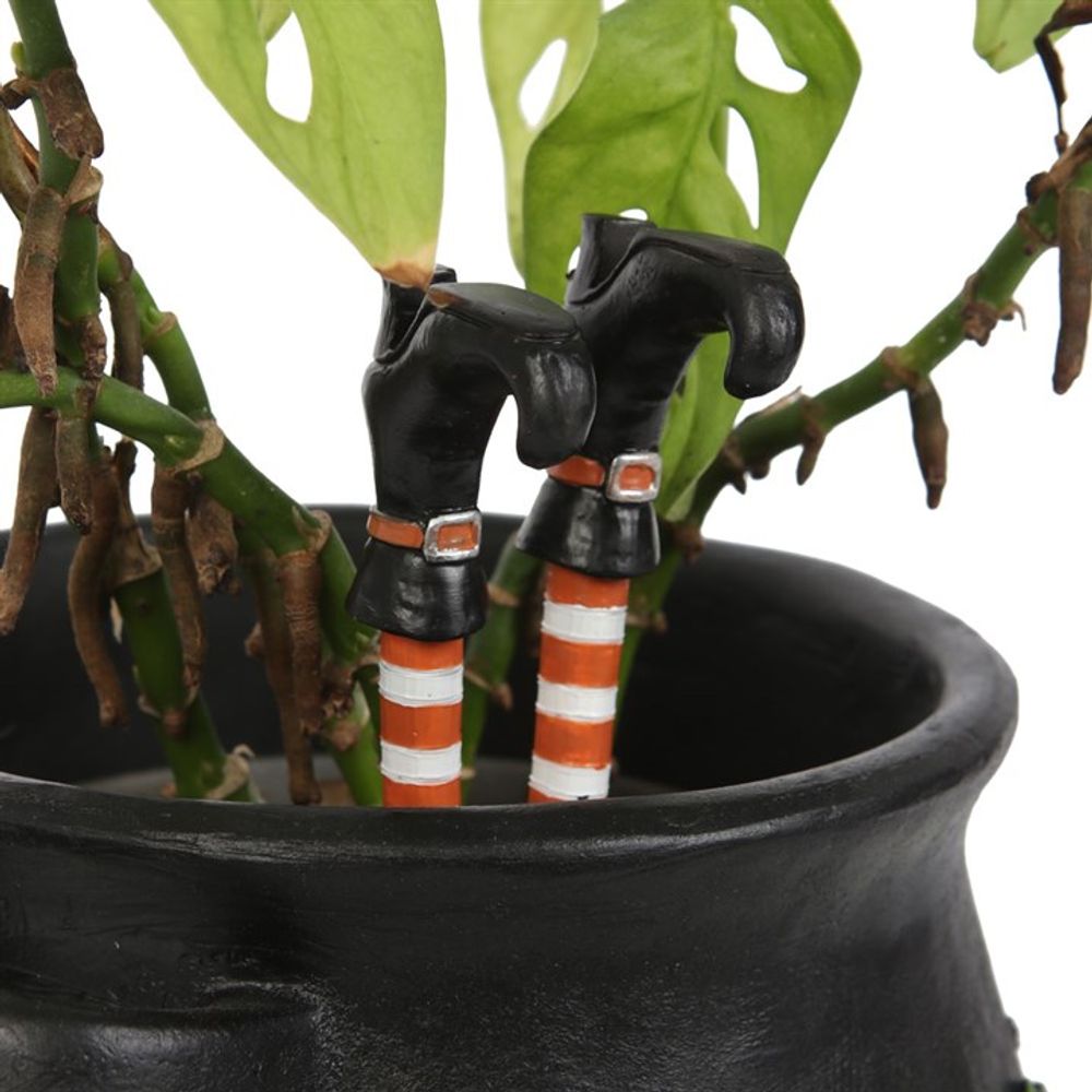 Eleanoras SET OF 2 WITCH LEG PLANT POT ORNAMENTS Gardening Acessories