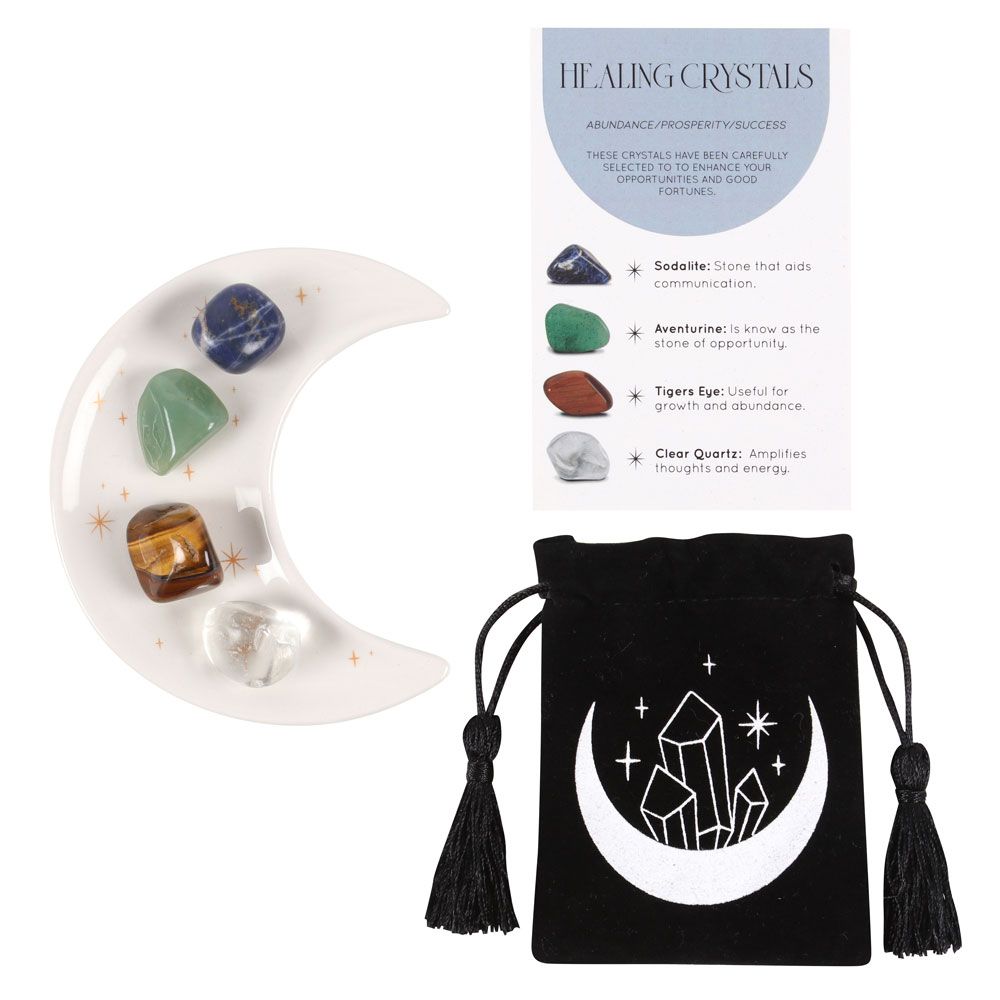 Eleanoras SUCCESS HEALING CRYSTAL SET WITH MOON TRINKET DISH Crystals