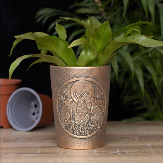 Moon Shadows Bronze Terracotta Plant Pot by Lisa Parker Plant Pots from Eleanoras