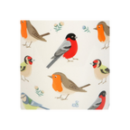 Eleanoras British Garden Birds Plant Pot Plant Pots