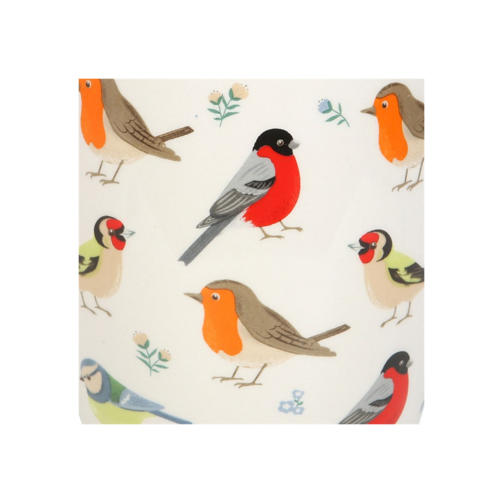 Eleanoras British Garden Birds Plant Pot Plant Pots