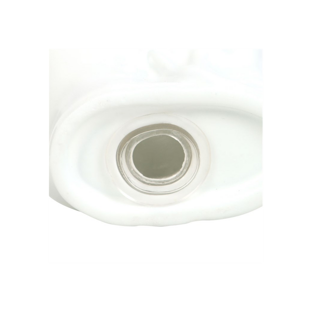 Eleanoras Skull Salt and Pepper Shakers 