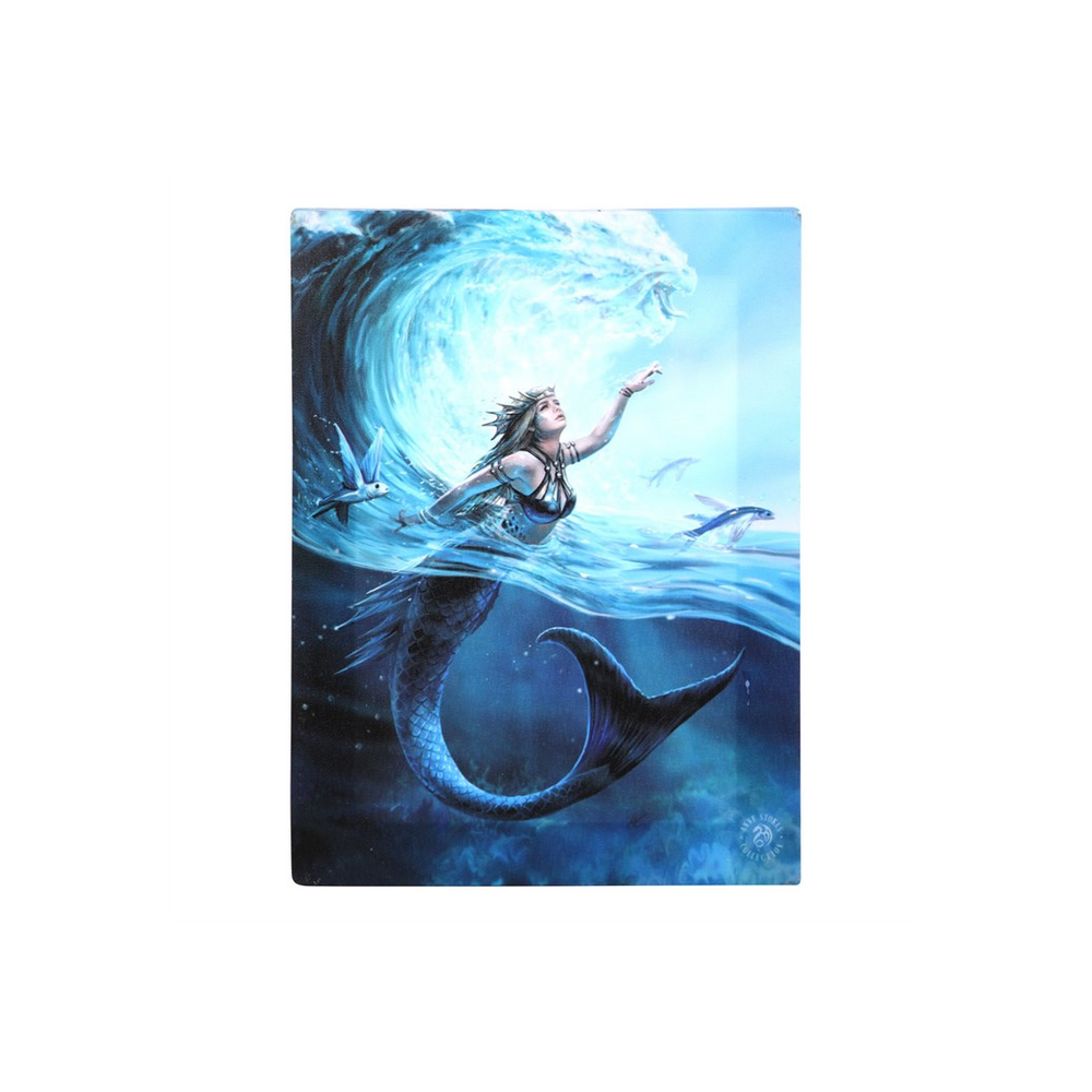 Eleanoras WATER ELEMENT SORCERESS CANVAS PLAQUE BY ANNE STOKES Canvases