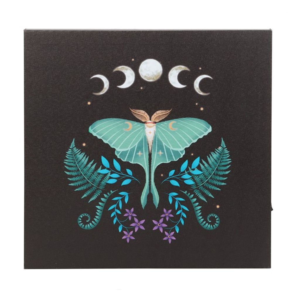 Eleanoras Luna Moth Light Up Canvas Plaque Canvases
